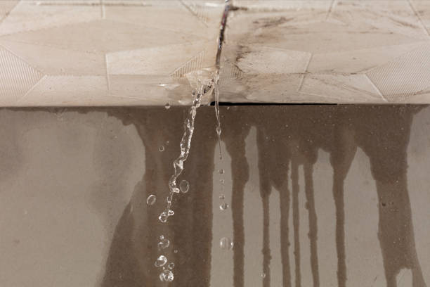 Professional Water Damage Repair technician working in Steeleville, IL